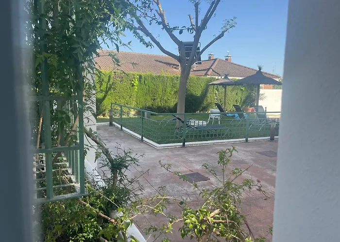 Brillante 156 * コルドバ